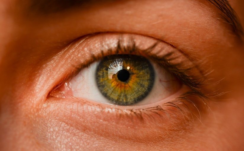 Oczy to szczególny organ. To otóż to dzięki nim widzimy.